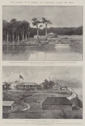 Otwarcie Nigerii, wyprawa przeciwko Aros